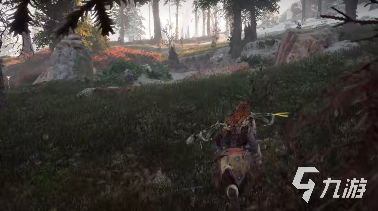 塞尔达传说：旷野之息 完整版 截图13